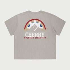 Cherry LA T-Shirt A Poche Boxy Mountain Expedition (Gris Chine) | T-Shirts Et Manches Longues