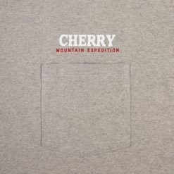 Cherry LA T-Shirt A Poche Boxy Mountain Expedition (Gris Chine) | T-Shirts Et Manches Longues