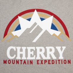 Cherry LA T-Shirt A Poche Boxy Mountain Expedition (Gris Chine) | T-Shirts Et Manches Longues